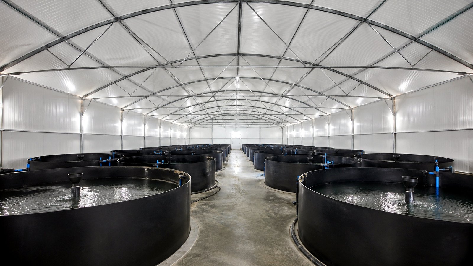 Aquaponics Interior