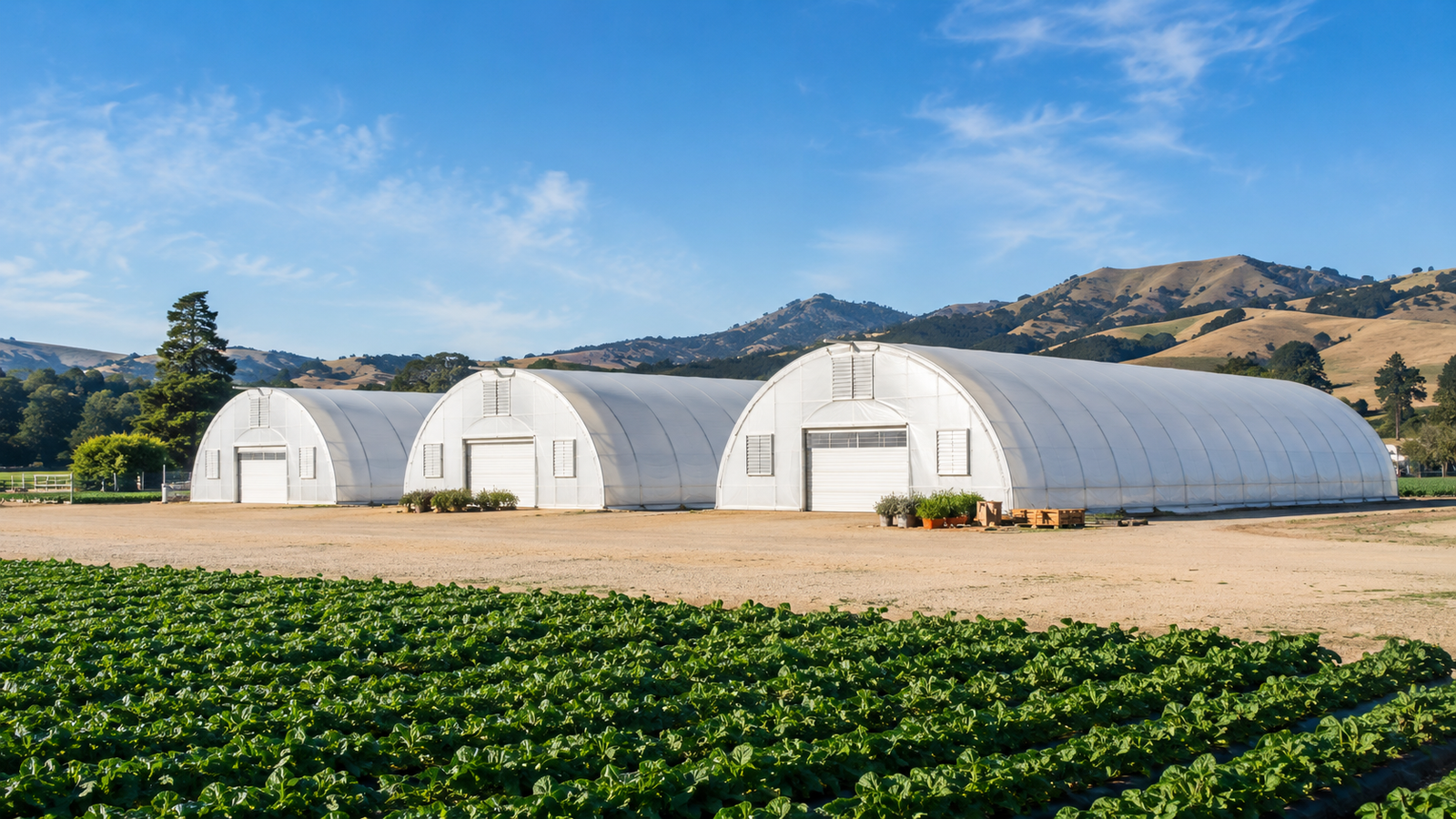 Greenhouse Tunnels