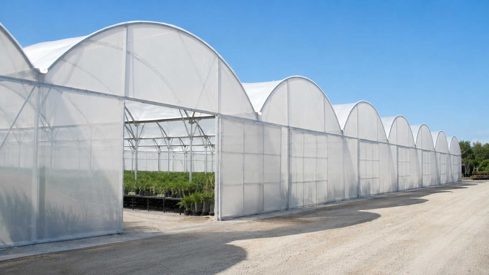 20m x 30m Multi-Span Tunnel