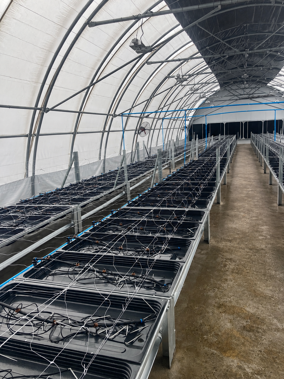 Growing Tables & Shelving